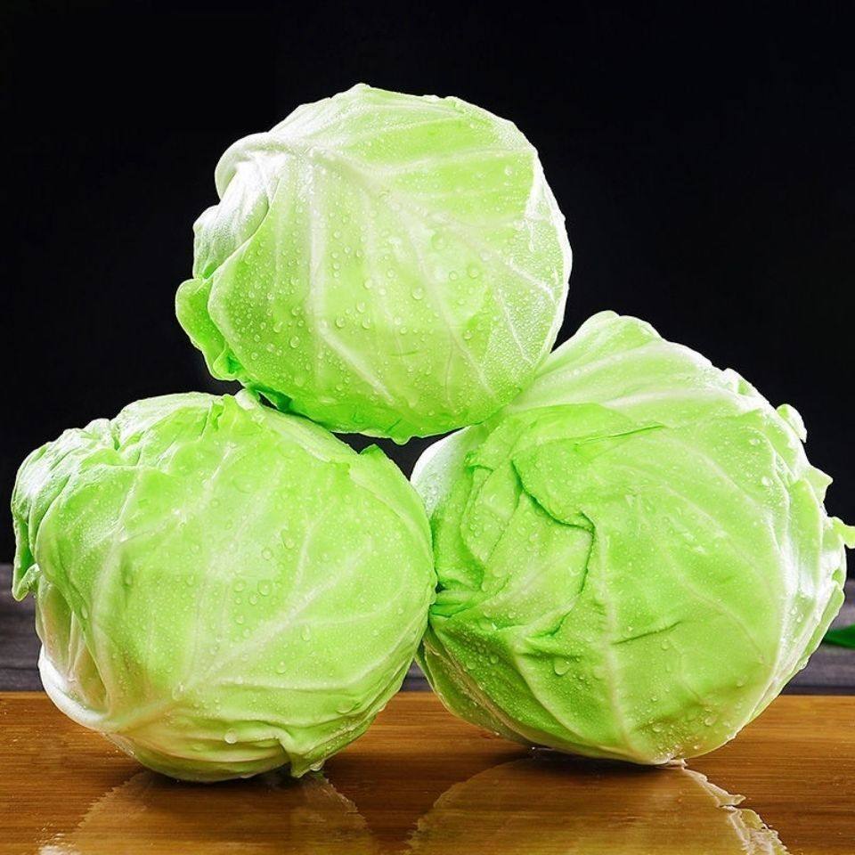 蔬菜新鲜云南高原包菜新西兰菜现摘现发应季圆心其它