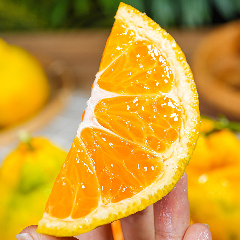 云南新鲜青皮丑橘5斤商超品质