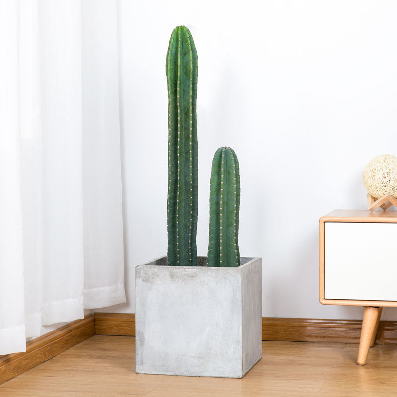 天尺仙人仙人掌多肉植物北欧中大型客厅办公室盆栽多肉植物