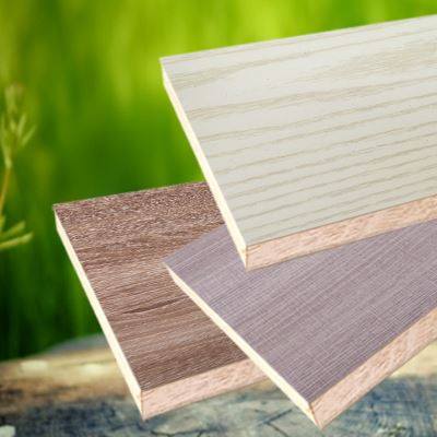 圣鹿芯板生态漆板板免木工家具衣柜儿童马六甲三聚氰胺板