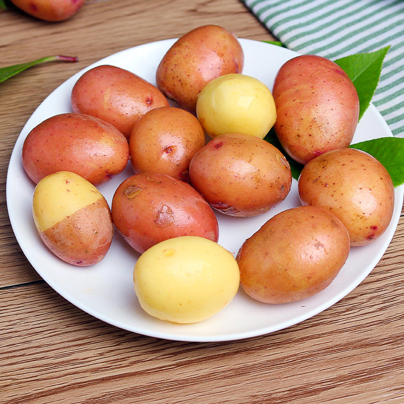 恰好庄园土豆云南红皮小土豆3斤新鲜黄心迷你土豆