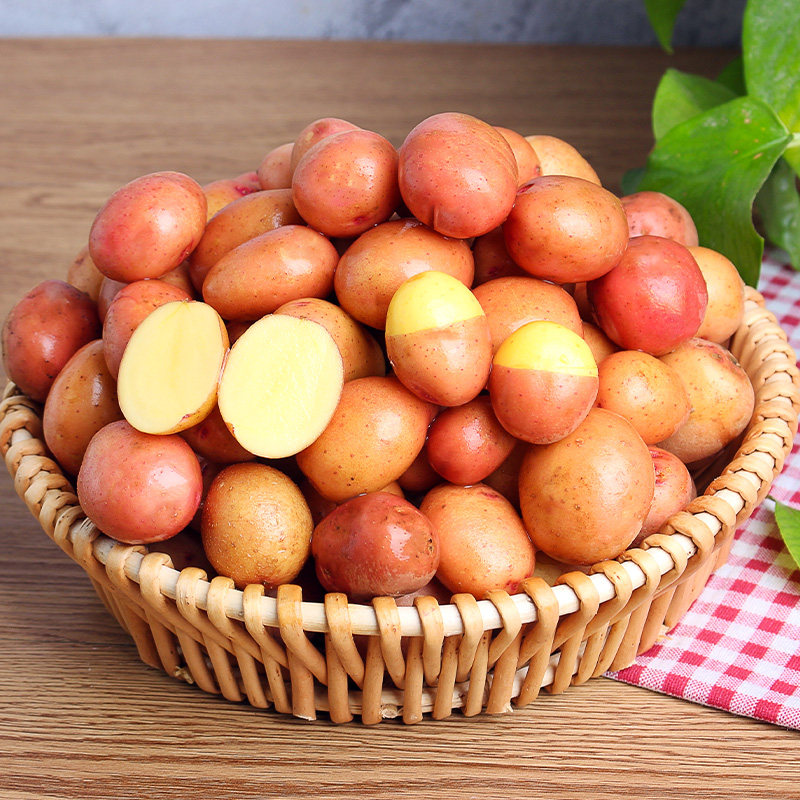 恰好庄园土豆云南红皮小土豆3斤新鲜黄心迷你土豆