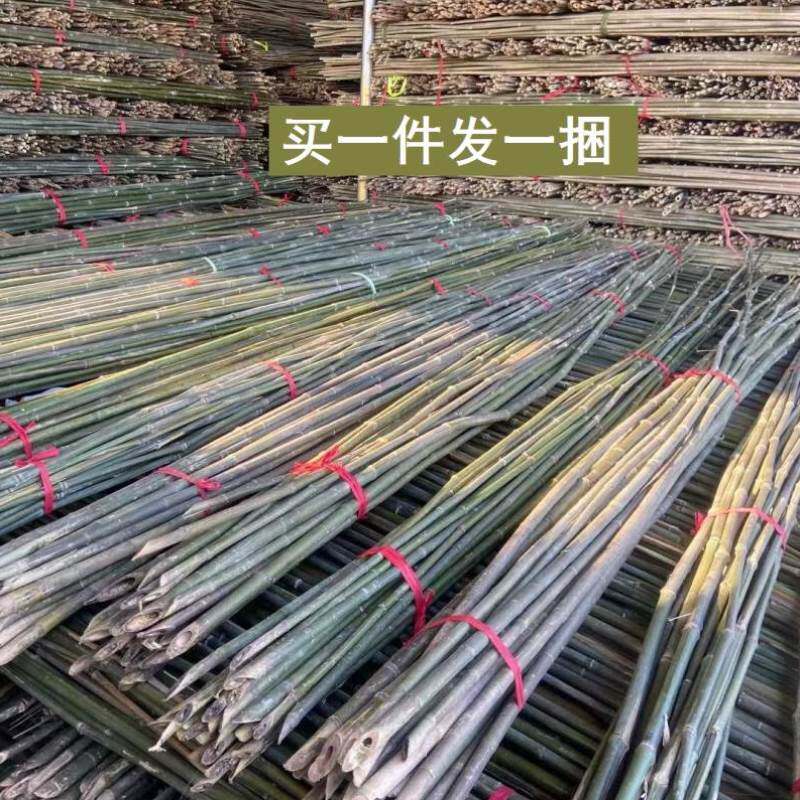 竹竿搭架竹子菜园豆角菜架爬藤牵引1.5米2米大型篱笆