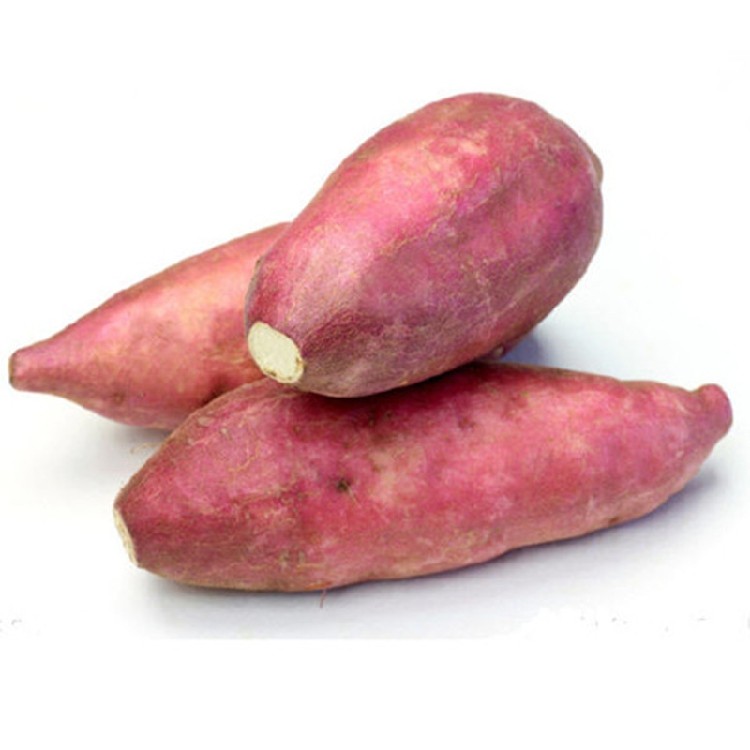 助农9斤红皮白心红薯新鲜蔬菜番薯山芋白瓤番薯