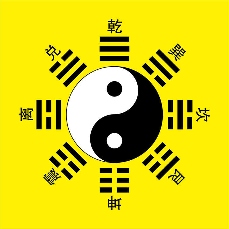 现代玄关装饰画阴阳易经周易知识先天八卦图太极图现代装饰画