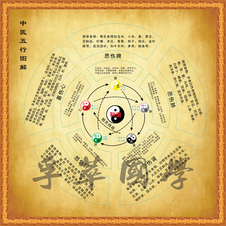五行中医装饰书房玄关养生生克国学太极八卦图现代装饰画