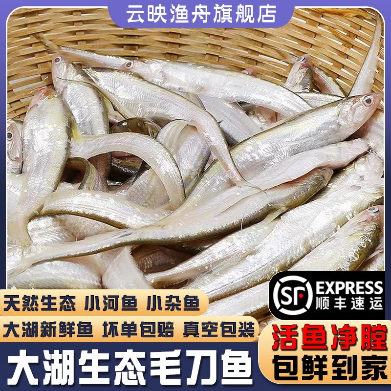 微山湖刀鱼:鲜到让你尖叫的味蕾狂欢