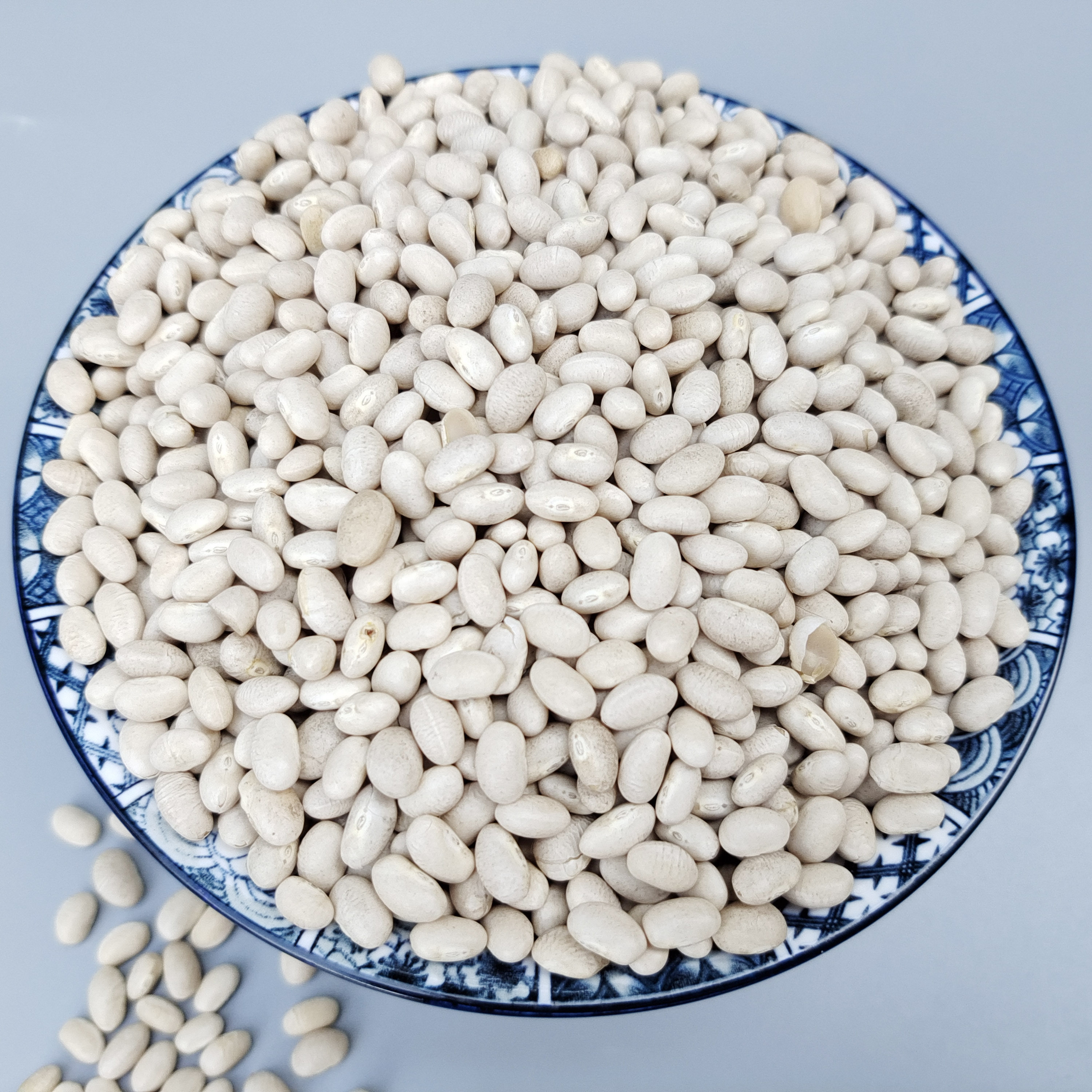 芸豆重庆石柱特产小白白豆炖菜煲汤农家豆类其它