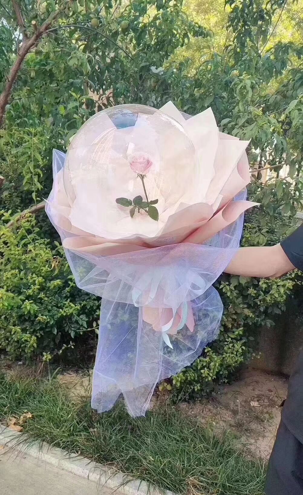 网红同款抖音玫瑰花波波球 透明唯美花束波波球求爱婚礼手捧花