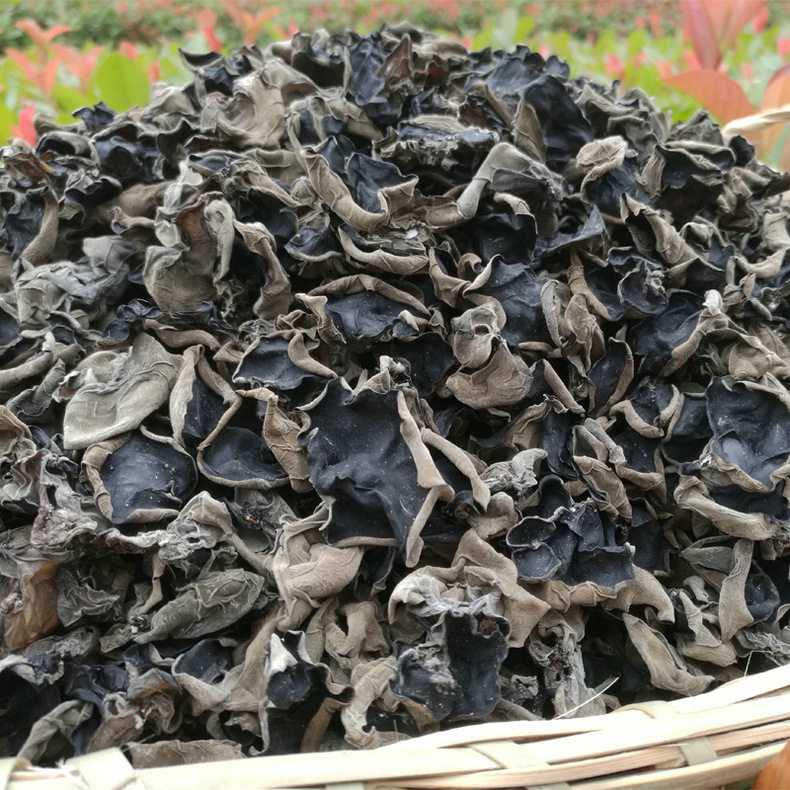 广西百色野生云耳黑木耳500g包邮纯农家小秋碗干货土特产特级耳