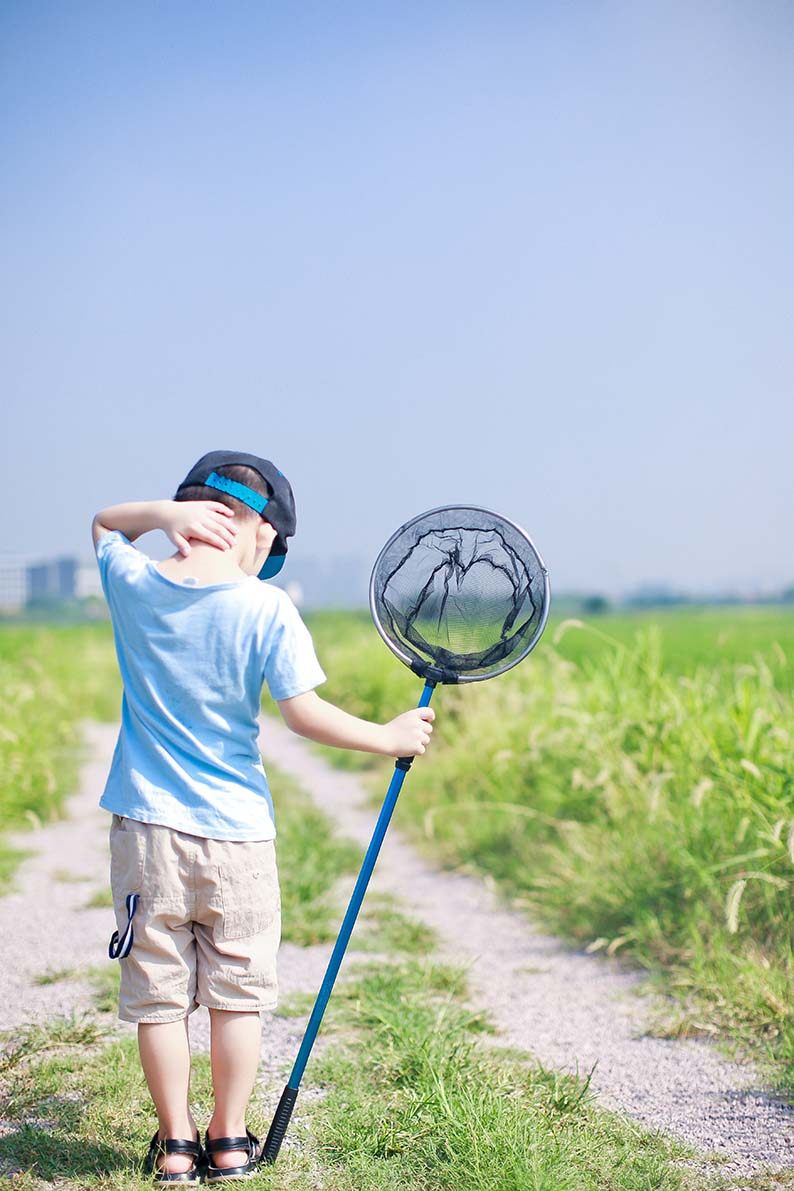 蝶园儿童伸缩鱼网小鱼网兜捞网龙虾蝌蚪渔网抄网杆