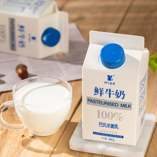 神牛益得鲜牛奶4.0蛋白质营养儿童早餐低温纯牛奶巴氏杀菌乳480g