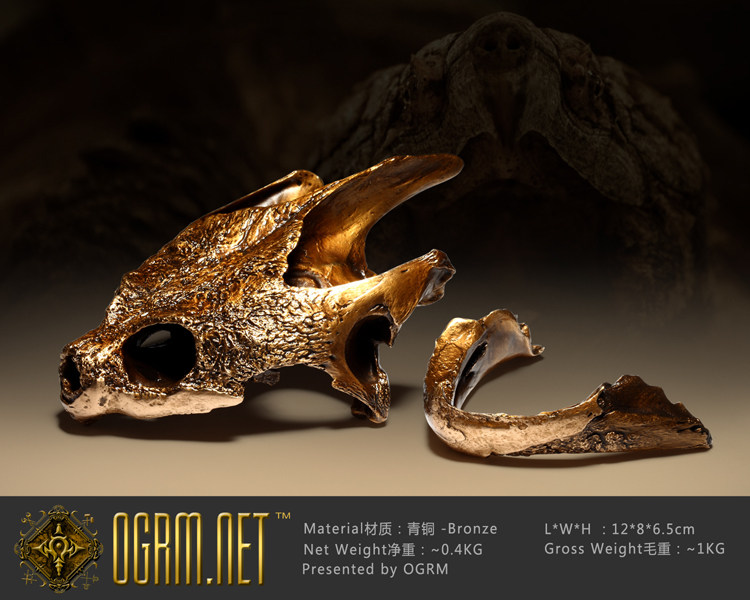 ogrm 奥格瑞玛 青铜《野生原种佛罗里达鳄龟头骨》复制品