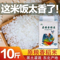 五常稻花香大米東北大米真空包裝