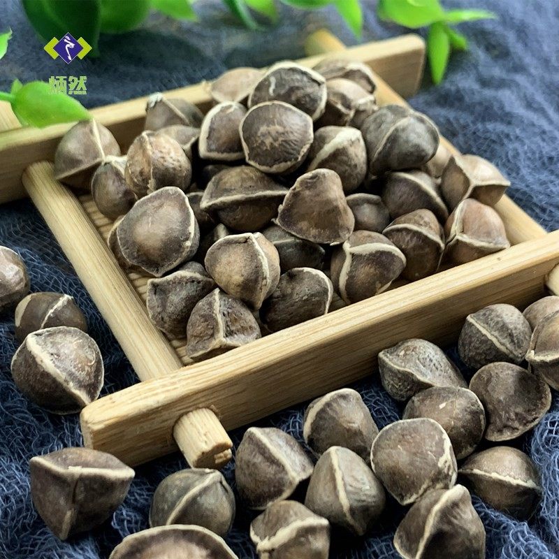 辣木手工泡茶中药材无硫野生挑选饱满粒大木子其他药食同源食品