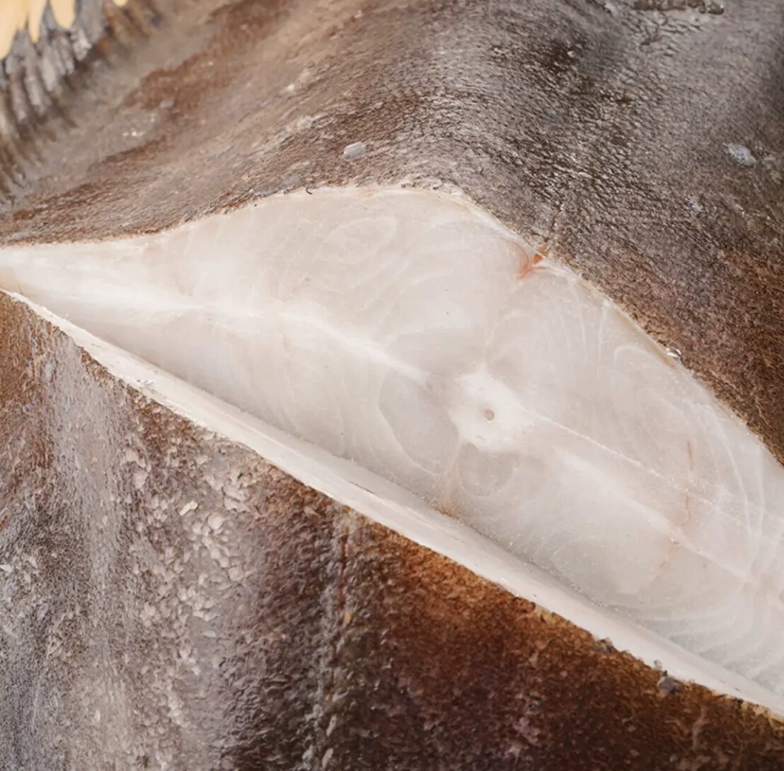 新鲜鲽鱼鸦片鱼格兰大比目鱼冷冻整条深海碟鱼鲽鱼