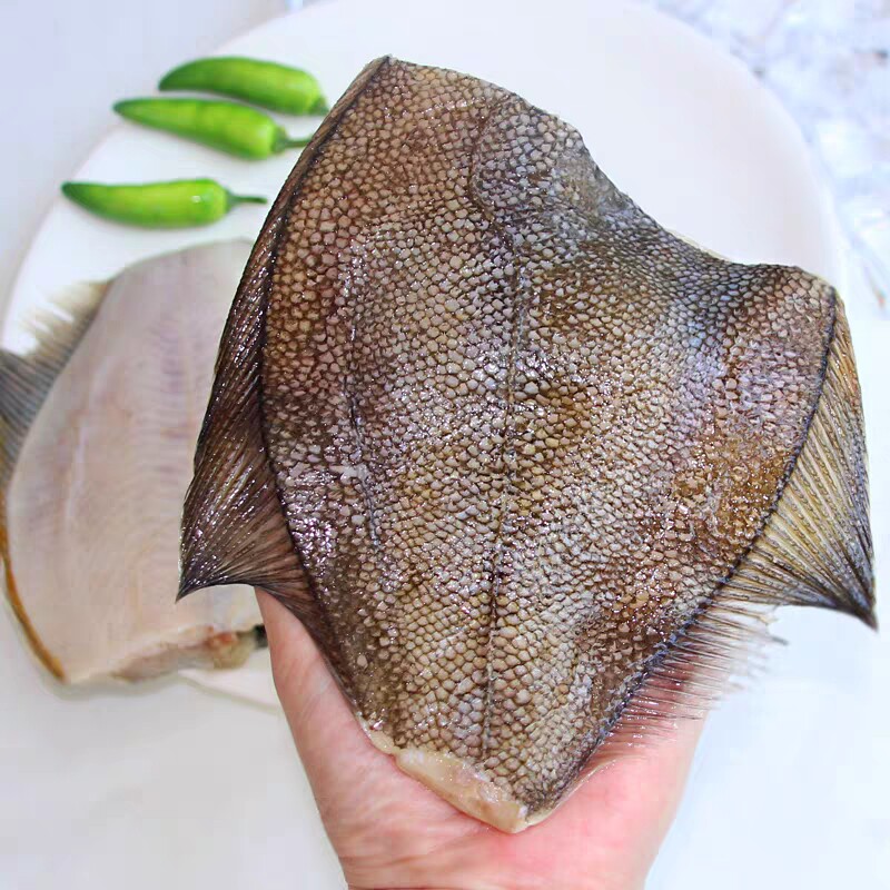 鲽鱼深海黄金比目鱼身偏口多宝鱼鸦片鱼深海鱼4斤巴沙鱼