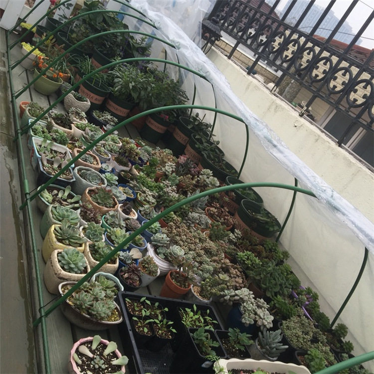 包塑钢管支柱拱形弯管多肉暖棚配件保温棚种菜棚大棚弓架弯支架