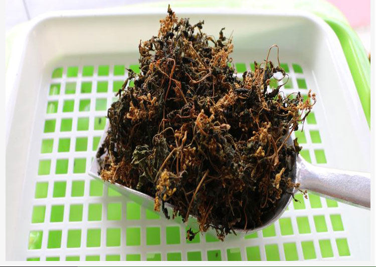 宿松特产盒装农家干货野生生雨花菜珍珠菜干其它