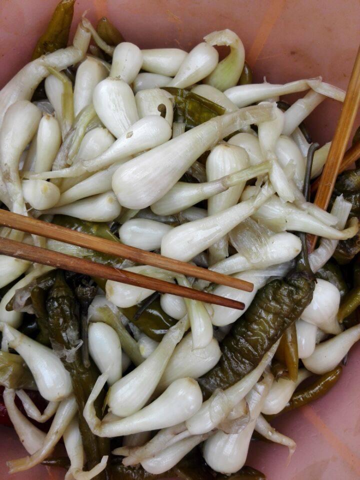 江西赣南赣州特产自家腌制酸荞头藠头下饭饭菜腌制