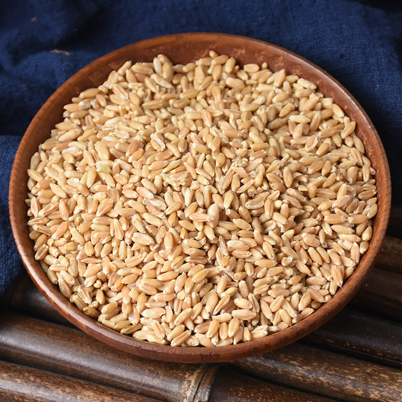 贵臣淮小麦500g克包邮甘麦大枣汤原料怀小麦非野生中药材店铺大全