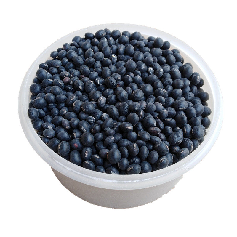 黑豆2021年新鲜农家自产品种转基因豆浆豆芽散装黑豆