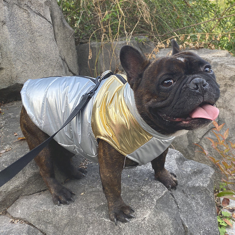 法国斗牛犬衣服宠物棉衣巴哥沙皮狗狗秋冬装法狗宠物服装