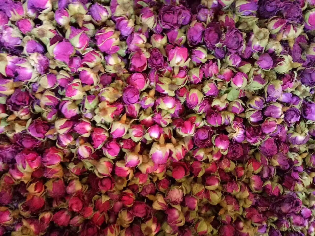 新货新疆和田紫玫瑰花苞干花大马士革女性养生花茶养生茶