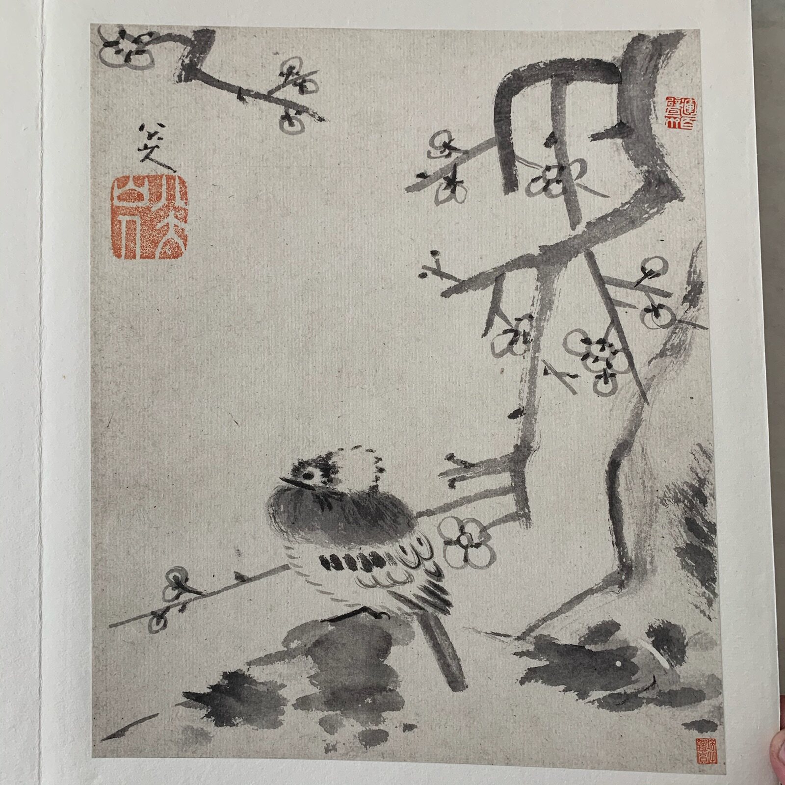 复制品北京蕙风八大山人册页国画