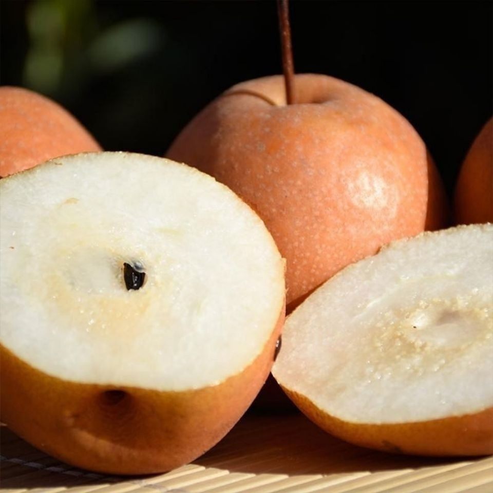 红梨老红新鲜水果糖梨子煮汤魏县小红梨酸咳嗽梨