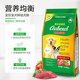 Remigao Opal Universal Puppy Dog Food Teddy Golden Retriever Pomeranian Bichon Big, Medium and Small Labrador 500g Remigao Opal Universal Puppy Dog Food Teddy Golden Retriever Pomeranian Bichon Big, Medium and Small Labrador 500g
