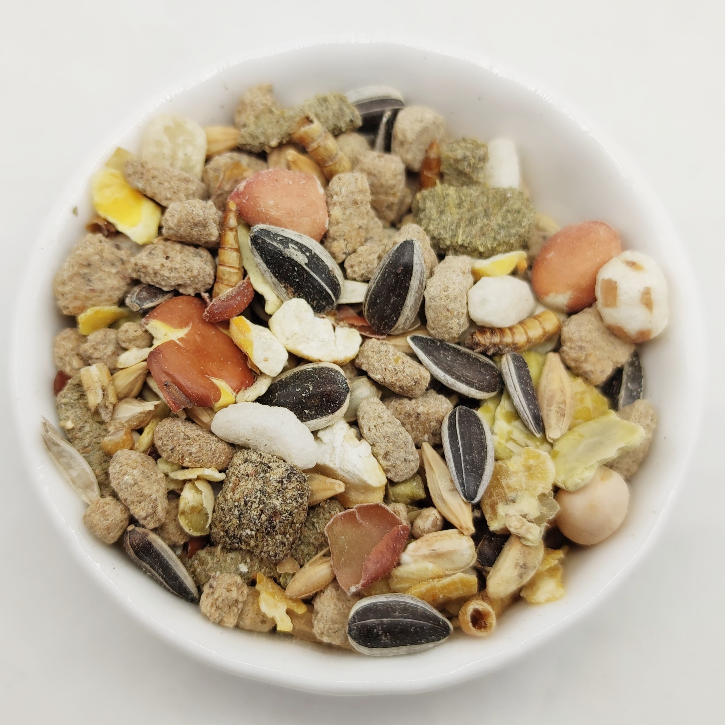 现货包邮新版比利时凡赛尔熊粮增肥仓鼠粮食金丝熊饲料