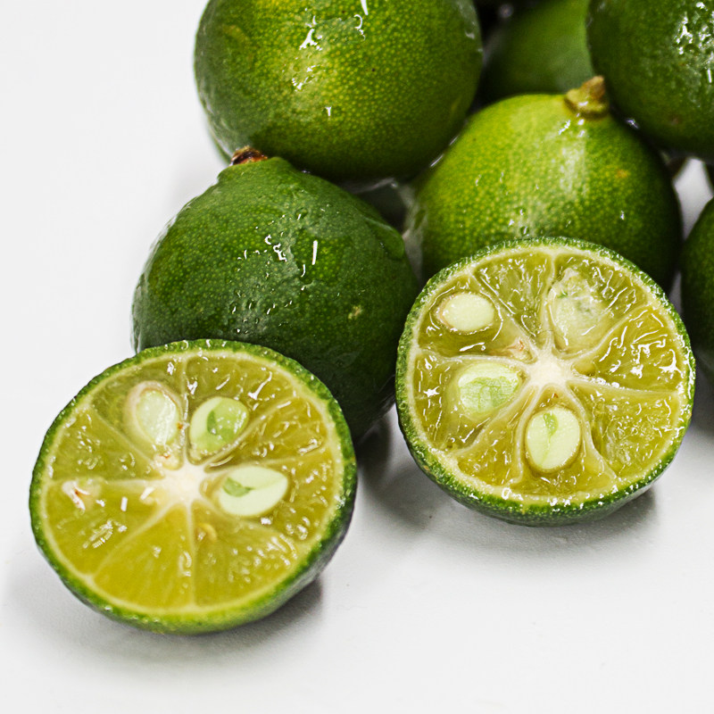 小青海南小金金桔精选桔酸橘奶茶店专用新鲜桔子