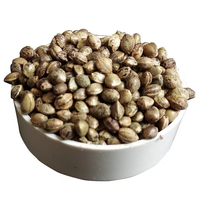 麻子小颗颗粒麻籽麻仁鹦鹉鸟食鸟粮饲料仓鼠鸟食