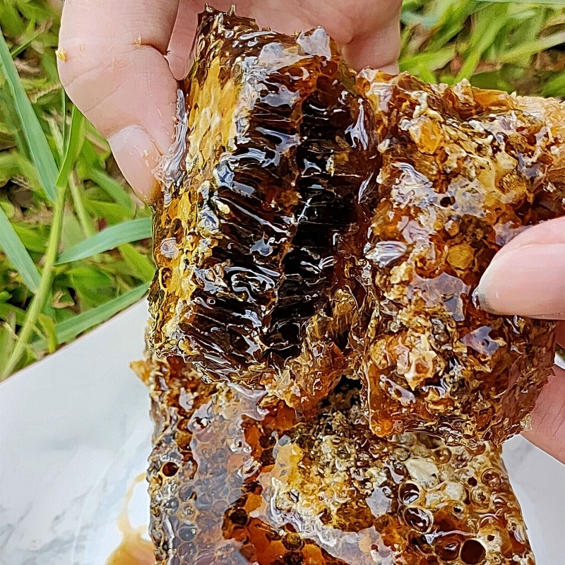 团花蜜天然蜂蜜野生黑蜜云南土特产500g罐装礼盒装93-缅甸甜蜜之旅