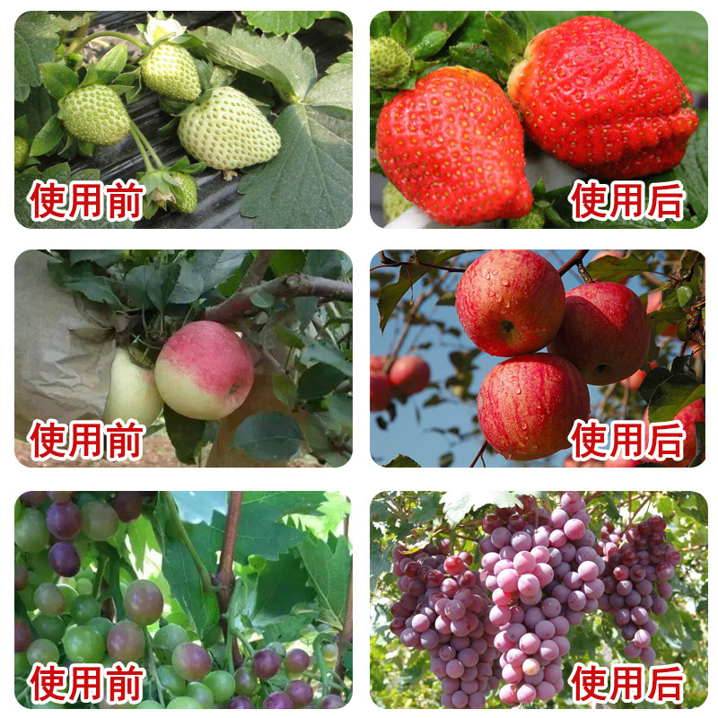 促花膨果灵水果果树专用膨大素膨大剂叶面肥坐果灵葡萄授粉药樱桃