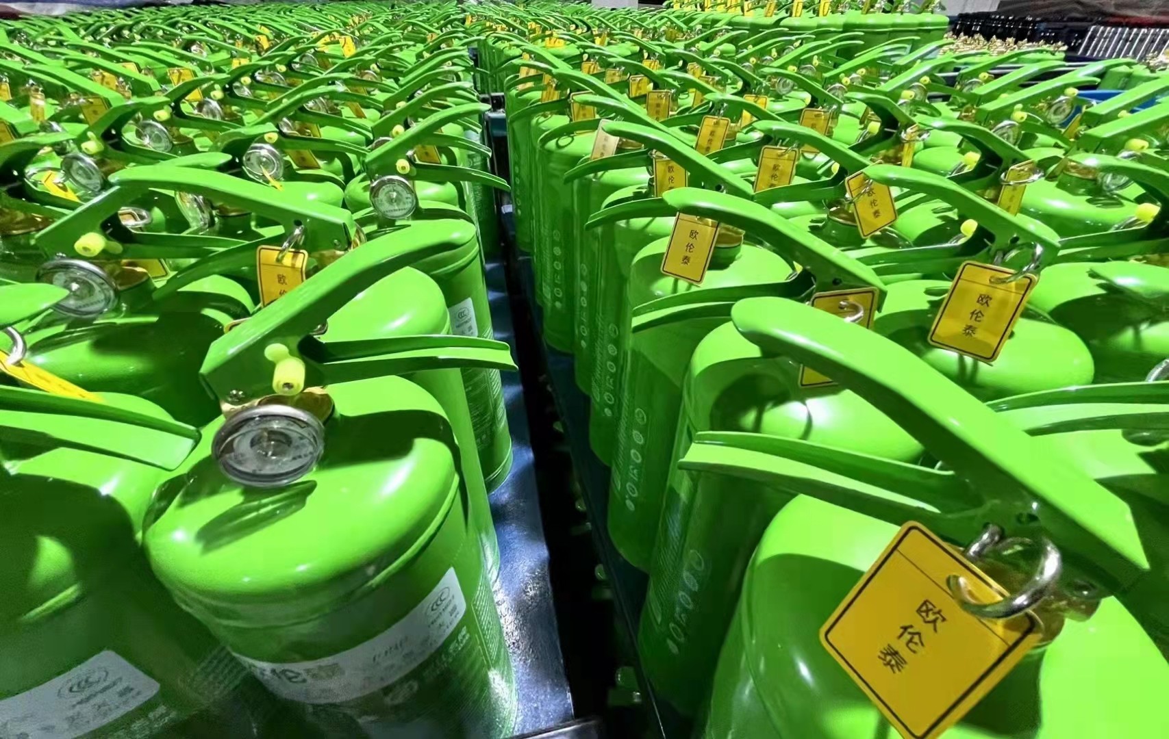 水基灭火器欧伦泰车载家用工厂2l3l6l9l泡沫绿色绿色环保灭火器