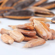 Laojiekou caramel/mountain walnut flavor melon seeds 500g*4 bags of sunflower seeds nuts snack snack snacks bulk wholesale Laojiekou caramel/mountain walnut flavor melon seeds 500g*4 bags of sunflower seeds nuts snack snack snacks bulk wholesale