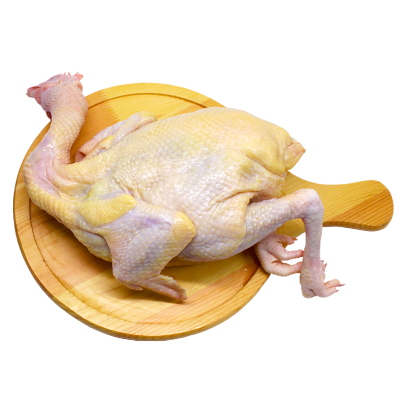 海南正宗文昌鸡200天阉鸡新鲜生鲜农家散养土鸡白切煲汤顺丰发货