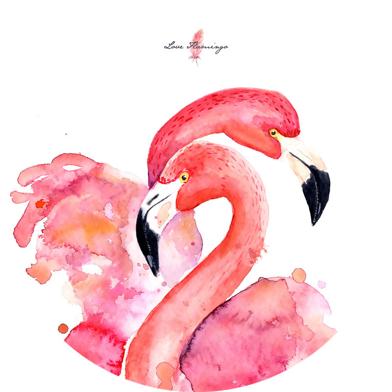 领典diy数字油画油彩水彩装饰圆形挂画火烈鸟动物填色手绘三拼画