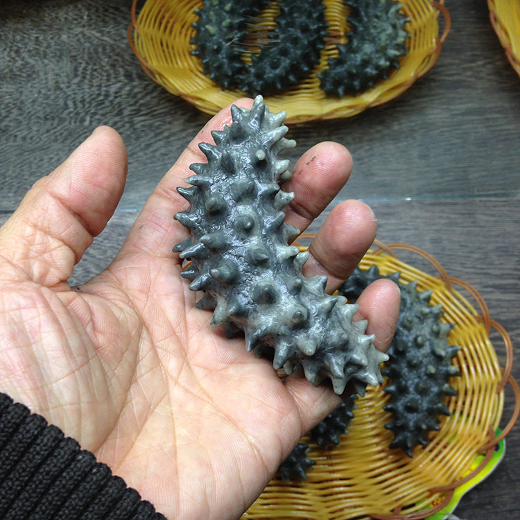 石雕海参海鲜文玩菜肴天然寿山石手把件摆件精品满汉全席百家宴