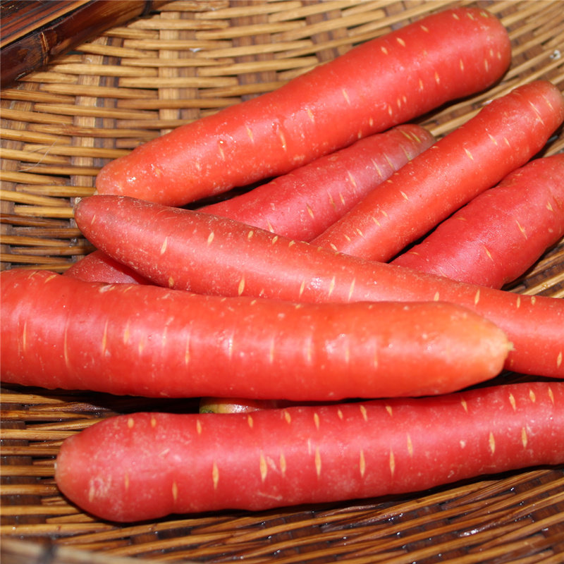 四川自贡红萝卜新鲜泥沙沙地水果胡萝卜农家自种萝卜