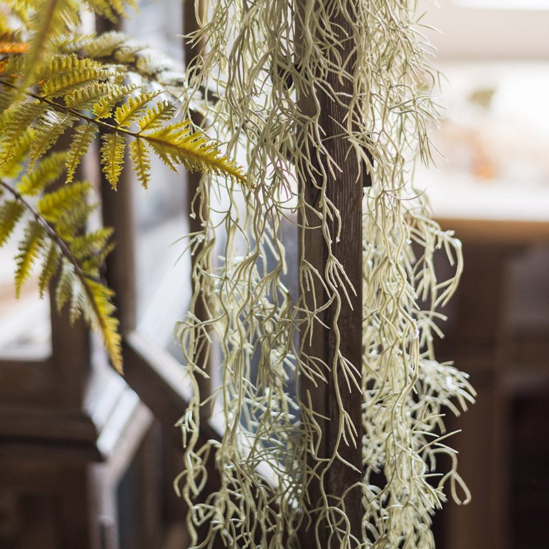 掬涵松萝铁兰老人仿真空气凤梨垂吊造景绿植仿真花