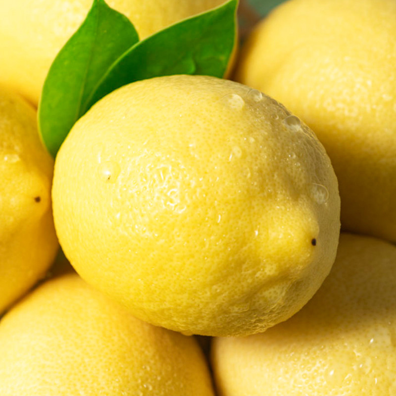 四川包邮甜柠檬香水一级大果精选水果安岳新鲜柠檬