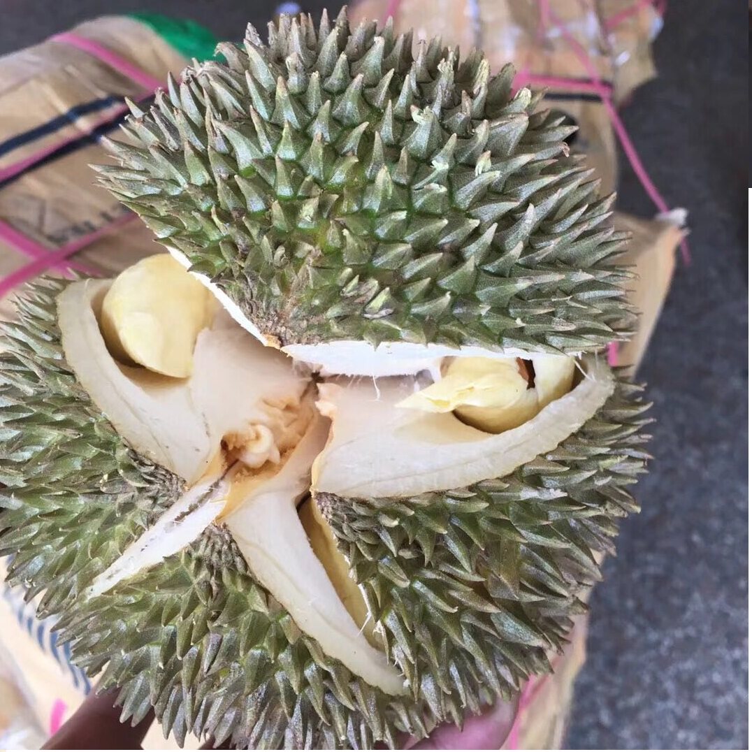 猫山王榴莲现货进口新鲜猫山青皮一级pk泰国榴莲