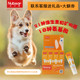 New Youri Pet Integrated Nutrition Cream Vitamin Amino Acid Cat Dog Beauty Skin Care Children Teddy New Youri Pet Integrated Nutrition Cream Vitamin Amino Acid Cat Dog Beauty Skin Care Children Teddy