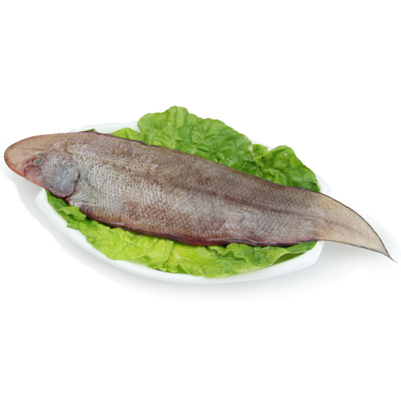 舟山野生舌鳎鱼新鲜龙利鱼东海舟山海鲜水产比目鱼玉秃沙秃500g