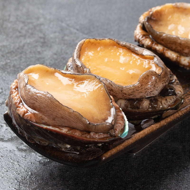 鲍鱼910头500g长岛鲜活海捕大九孔超大贝类海鲜鲍鱼