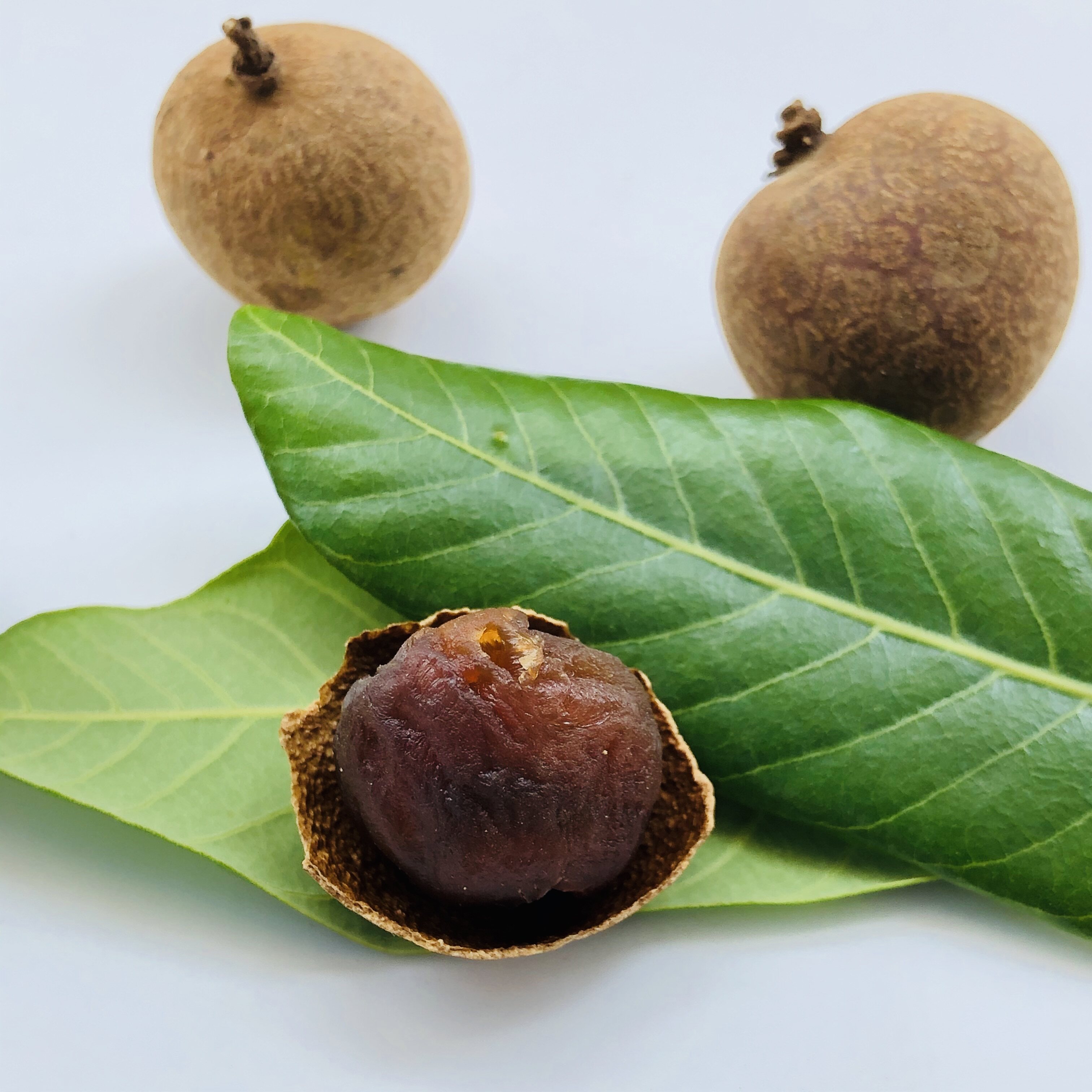 福建漳州特产桂圆农产品无硫干货龙眼8a果皮桂圆干