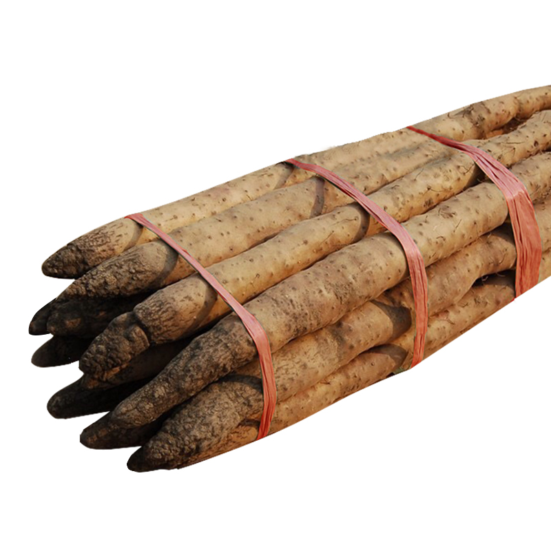 汽车照明 金牌改装店 我要改灯 汽车改装配件 优惠券卖家:nanababy